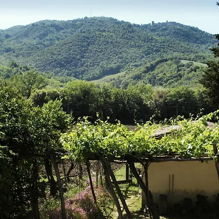 Casolare Santa Maria Sassa (Tuscany)